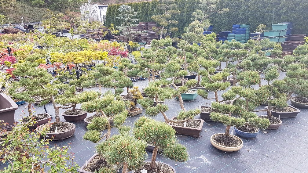 20200425_104738_copy_1008x567_1