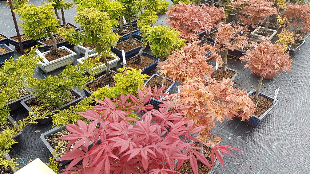 20200425_104748_copy_1008x567_1