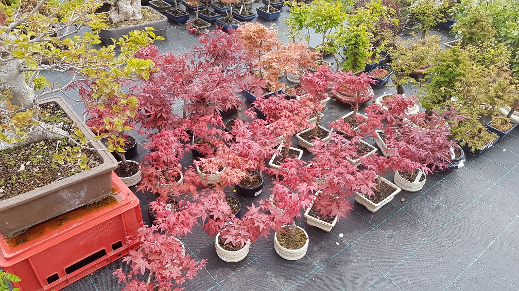 20200425_104752_copy_1008x567_1