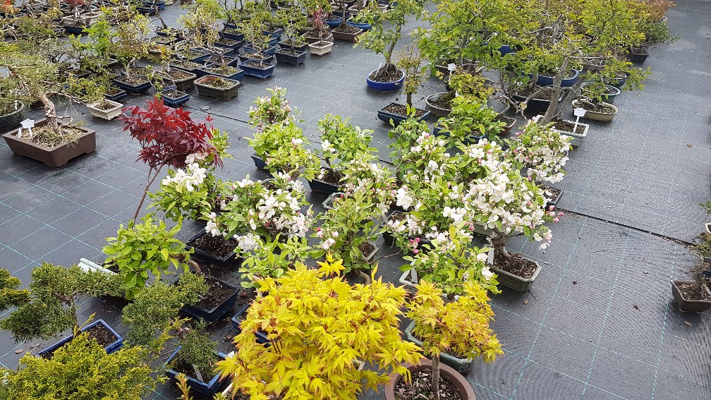 20200425_104759_copy_1008x567_1