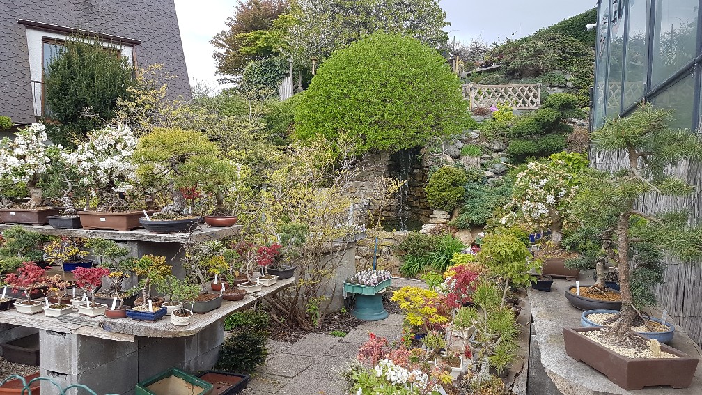 20200425_104818_copy_1008x567_1