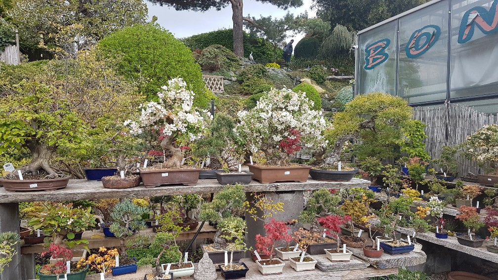 20200425_104825_copy_1008x567_1