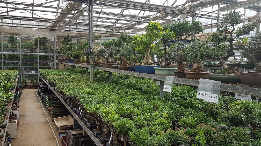 20200425_104858_copy_1008x567_1