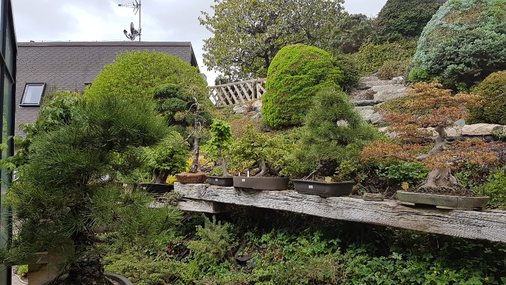 20200425_104913_copy_1008x567_1