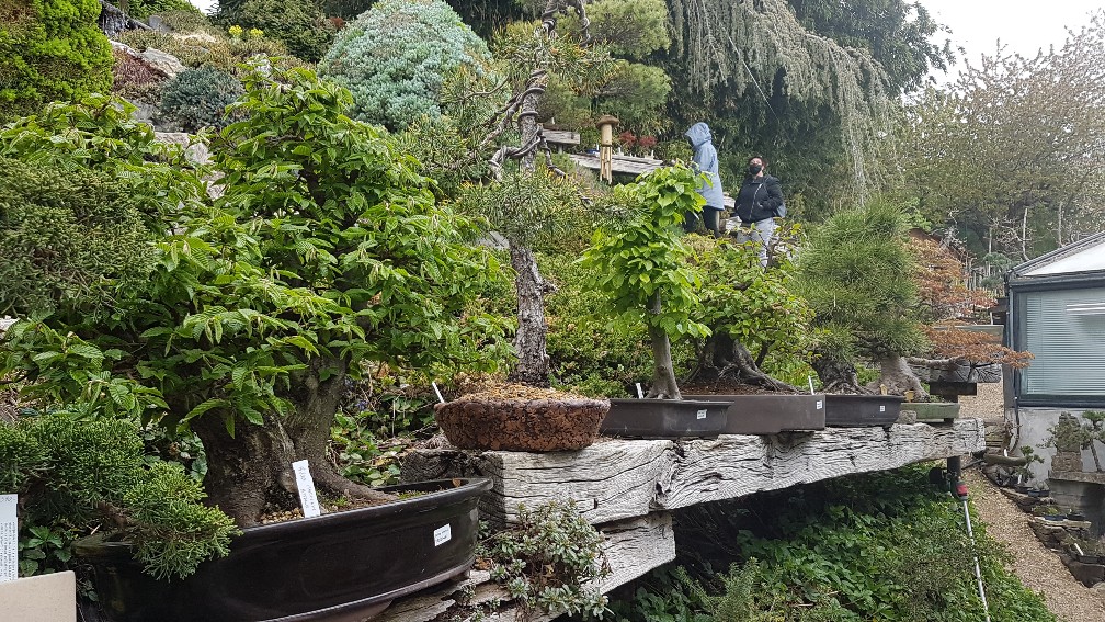 20200425_104922_copy_1008x567_1