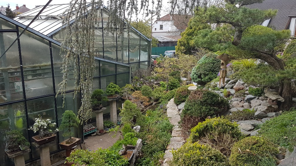 20200425_105002_copy_1008x567_1