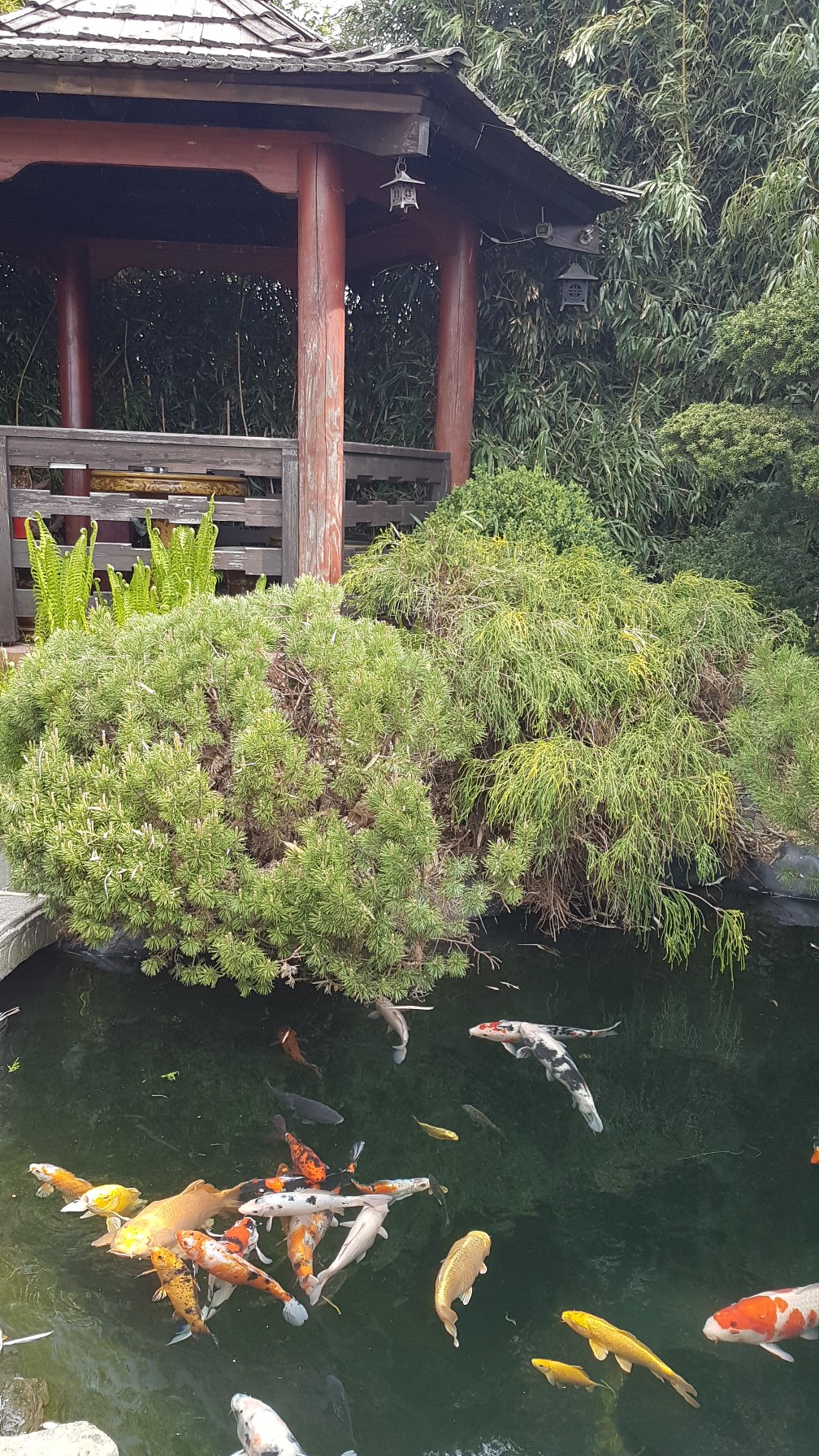 20200425_105032_copy_1008x1792_1