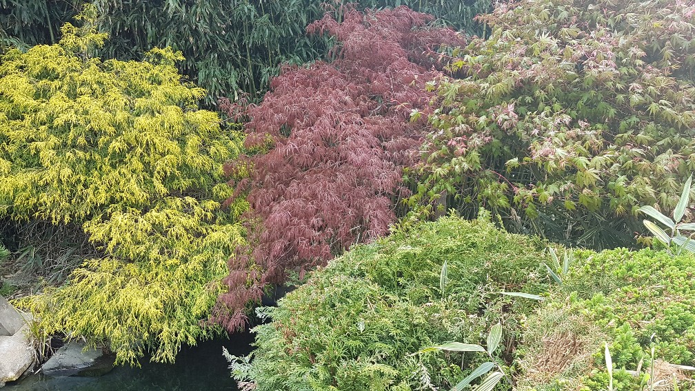 20200425_105035_copy_1008x567_1