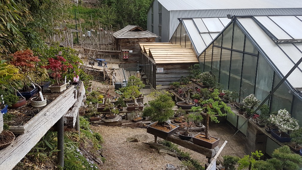 20200425_105055_copy_1008x567_1